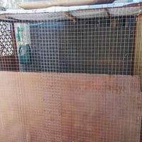 قفص دجاج • ناصرية مركز