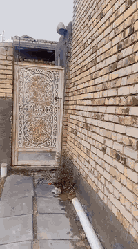 سلام عليكم بيت 100متر خلفي للبيع طابو الصرف بالضحية لشارع بحي لكرامه 
***********
