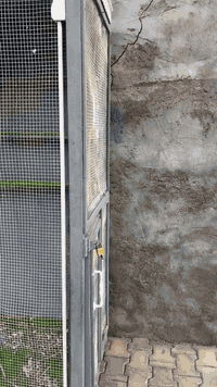 السلام عليكم قفص للبيع الطول ٢متر والارتفاع ٢متر والعرض متر السعر ٧٥ قفل اشراي يتصل ***********
