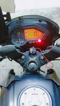 بولسر • أوراق كاملة • كمرك مدفوع