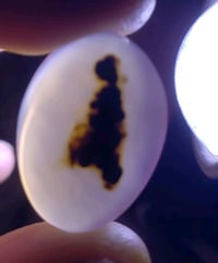 عقيق يماني • مصور • اصلي طبيعي