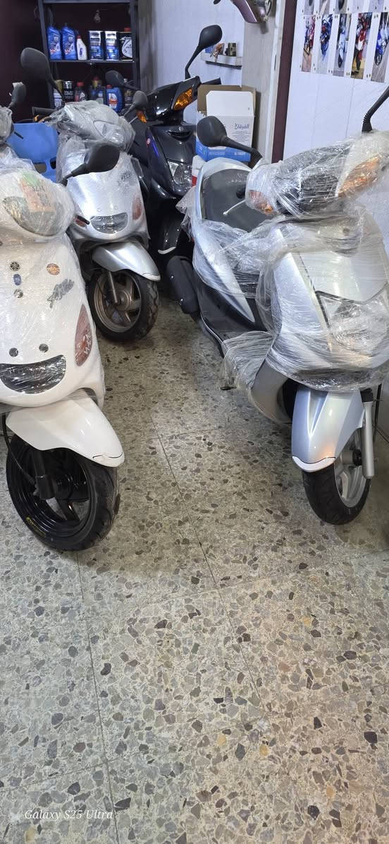 تحيه طيبه
تم وصول وجبه اكزز ١٠٠ فحل 
سكنس ياباني 
نثيه 
شمعه 
معرض الملاك 
حله حي شبر 
***********
