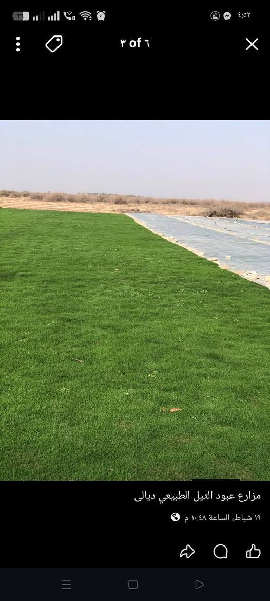 يوجد انواع ثيل الطبيعي لجميع المحافضات العراق اتصل ودلل #***********
