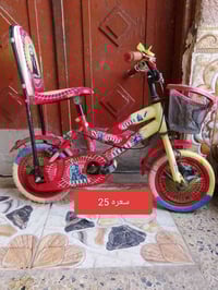 باسكلات • ياباني اصلي • ناصريه حي اريدو