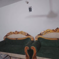 تخم • مجال