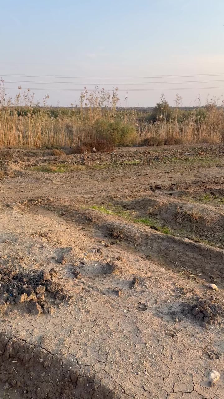 السلام عليكم
ارض زراعيه للبيع
المساحه  7 دونم  
الوجه 70 النزال 240 
الموقع طريق نصر دوايه ( مقابل فرع عتاب)

للإستفسار   ‭0782 932 3971‬
مكلف بالنشر !
