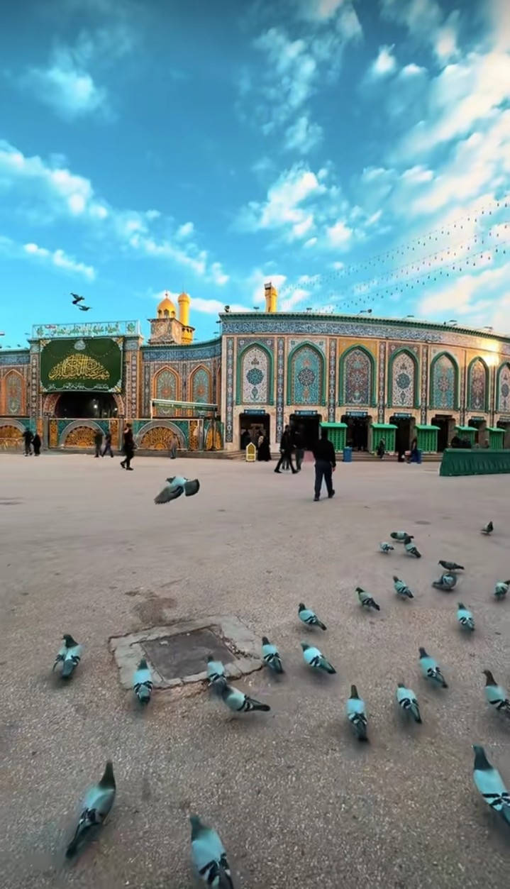 🍂حًمًـــلات لَــوٌآ آلَــحًسِـــــيَنِ🍂
.............................................. 
🕌زيــاره الى
ـــــــــــــــــــــــــــــــــــــــــــــــ
1_كـــــــــــــــربـــلاء المقدسى
2_ مـــــديــنـــة نـــــوارس كـــــربلاء
📆يوم الجمعه 2025/12/30⏰الانطـــــلاق 3:00 لضهر 
🚐"مرجع" ب «1» ليلآ 🌃

🚍النقل: كوستــــــر مكيــــــف
💰الأجـــره  7 تالف فـقــط

📍أماكــــــن تجمــع

ســياره تجيـــك لبــاب لبيت🚍

🗯مكاني: ديوانيه قضاء السنيه
☎️الإستفســار 👈🏻(***********) يــوجـد وتــــساب

🤲🏻نسأل الله قبول زيارتــكم
ــــــــــــــــــــــــــــــــــــــــــــــ
(بداية عام جديد..🚗6..... 2025)
