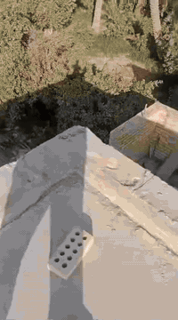 الزعفرانية بغداد • دونم طابو ملك صرف • نخل وحمضيات