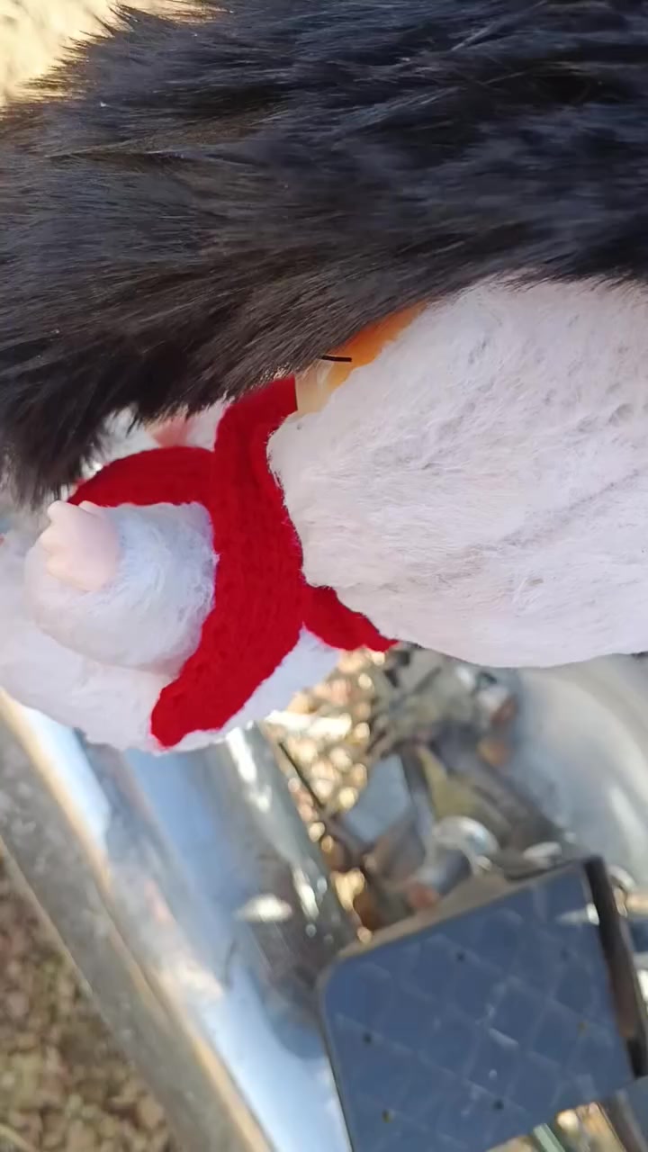 ايراني 4كير قفل 500موديل 24. بغداد طارميهه قرب جسر للمشاهده 
***********
