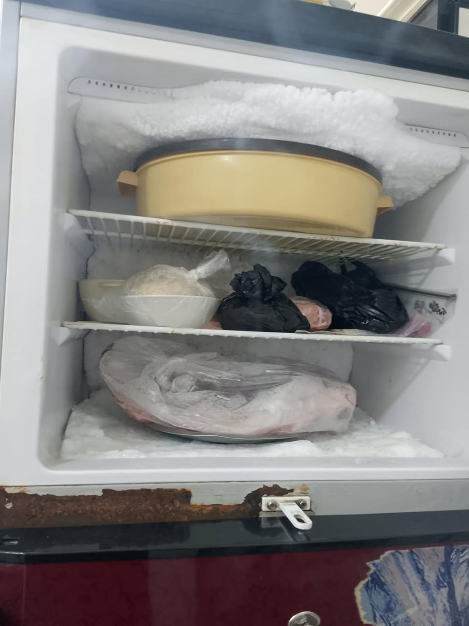 للبيع نظيفه كلش تجميد فول 
مكاني كفاءت السعر  اتصال. 
***********
