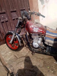 ستوته • بلا أوراق • بعقوبه