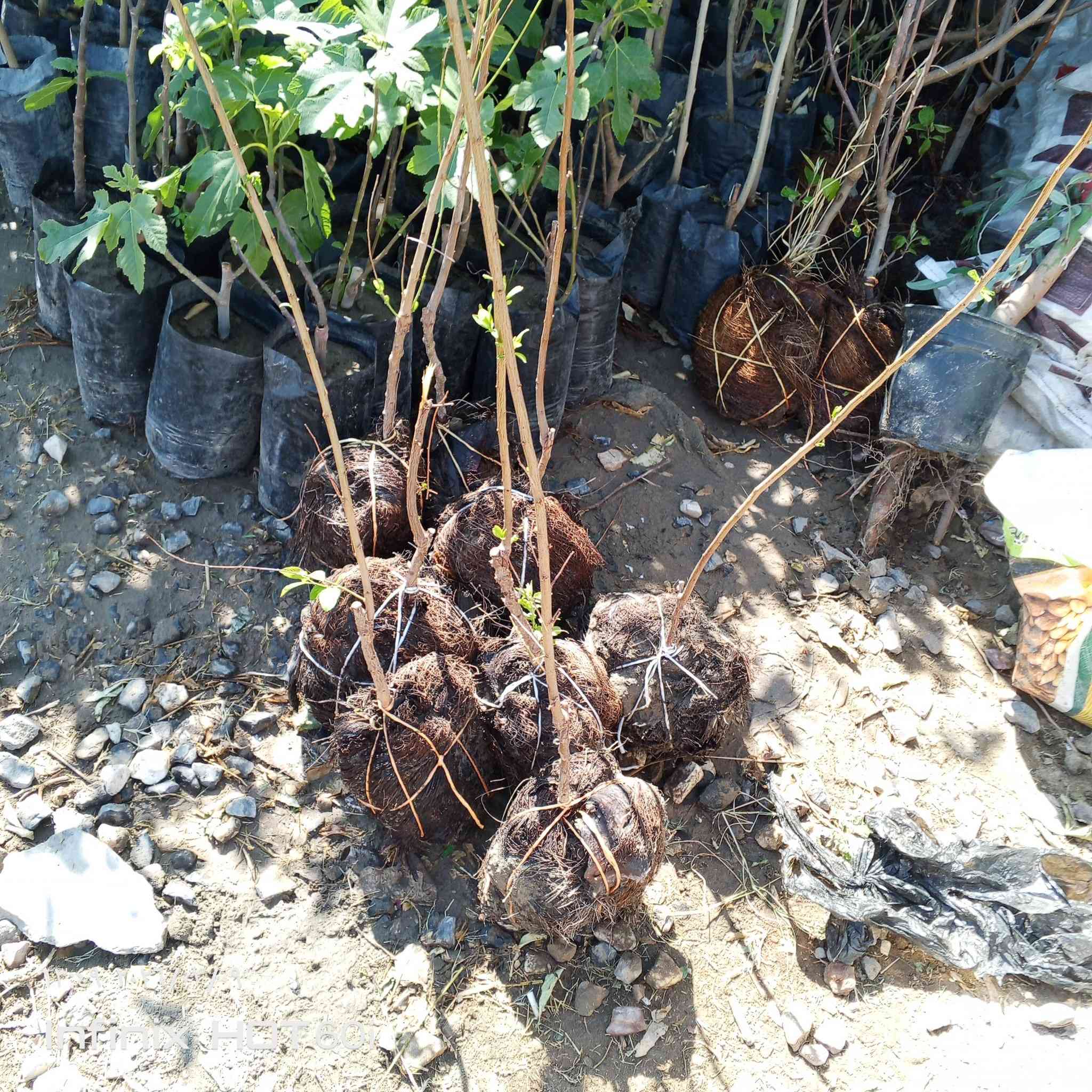 كل ماهو جديد ومتميز العنوان الشارع العام مجاور جملوانت مجمع كوري استفسار ***********/***********
