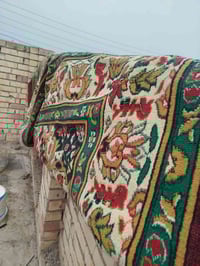 زولية • ٣ونص×٤م • شارع بلقيس