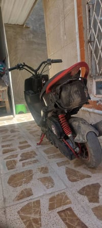 ماكس عدلة • بوشة 55 • رياضي