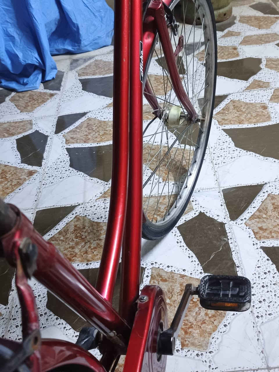 موديل ٢٠٢٠ كله بلاد سعر ٧٥ بي مجال حك جيه


**إذا كنت صاحب هذا الإعلان وتريد حذفه لأي سبب، رجاءا أرسل رسالة إلى الدعم الفني**