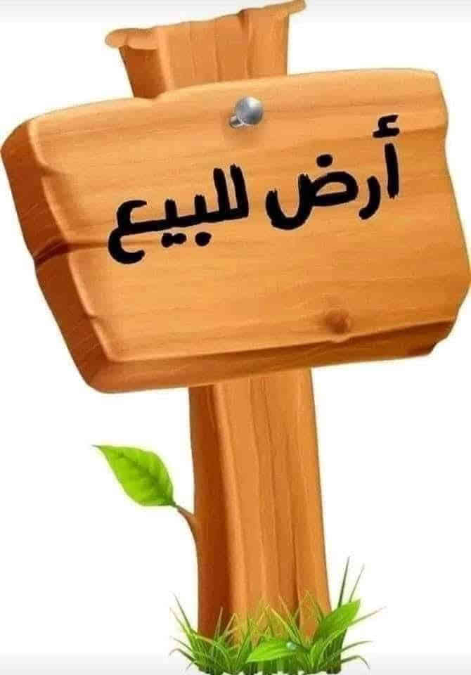 يالله سلام عليكم اخوان يوجد قطعه ارض للبيع دونم المساحه 2500 متر صافيه طريق قاسم جفل ماي اساله كهرباء شارع قريب عليهه السعر 35 وبيهه مجال اتصل صاحب الارض مكلف بل النشر***********
