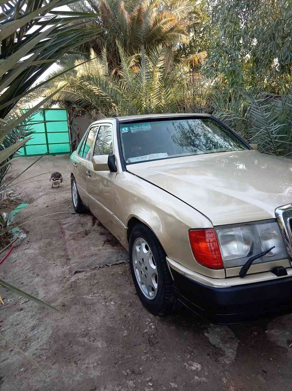 السلام عليكم بيع او مراوس مارس دب موديل 87مشروع وطني محرك بطة بيهة صوت براص ***********/السعر 30وبيه مجال قليل
