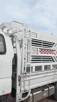 سلام عليكم للبيع  محجر كيه فحل ثاءر صويره 2024 العنوان بابل  الرقم ***********
