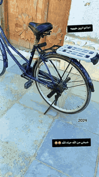 باسكل ٢٠٢٤ • باسكل نضيف • سوق الشيوخ النواشي