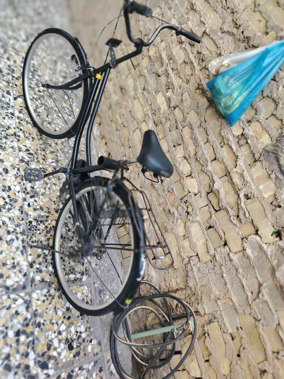 السلام عليكم بايسكل للبيع بطه بناتي ياباني اصلي نضيف حجم 26 مابي اي نقص بس الويل الي ور يحتاجله تعديل فقط السعر 110 وبي مجال قليل حك جيتك مكاني بغداد الامين الثاني


**إذا كنت صاحب هذا الإعلان وتريد حذفه لأي سبب، رجاءا أرسل رسالة إلى الدعم الفني**