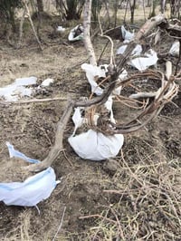 هروش عنب. المحاجير درجه اول اسود واصفر سعر الهرش 5 الاف  رقم الهاتف 07...