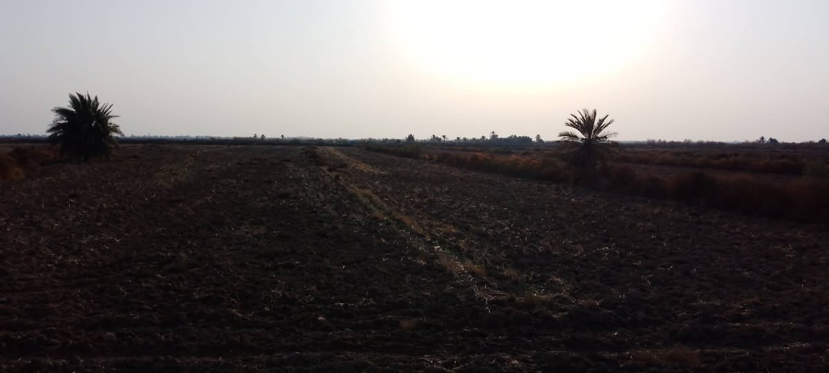 ارض زراعيه للبيع مكان ال عواد للتواصل ***********
