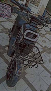 دراجة شحن • جديدة • مكفولة