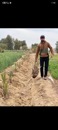 فسائل نخل • توصيل • كتاب ضمان