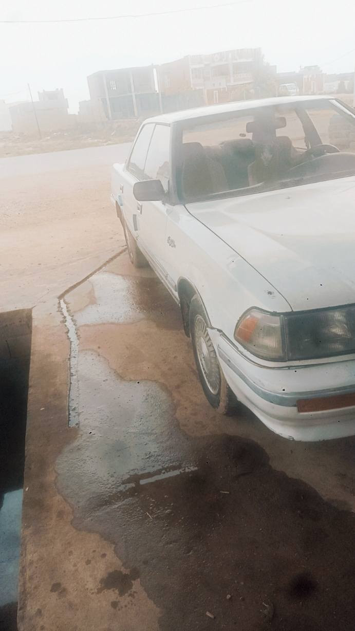 السلام عليكم . هارتوب 91 محرك 2500 ديلكو تخم تأير باتري جديد محرك كير خير من الله صدر 80 / 100 سنويه بسمي رقم كركوك انكليزي مابيه صبغ عل البلاد مكفوله من كلشي كهربائيات كله شغاله السعر 35 وبيه مجال بكان ديالى الخالص *********** وتساب هم موجود تحياتي
