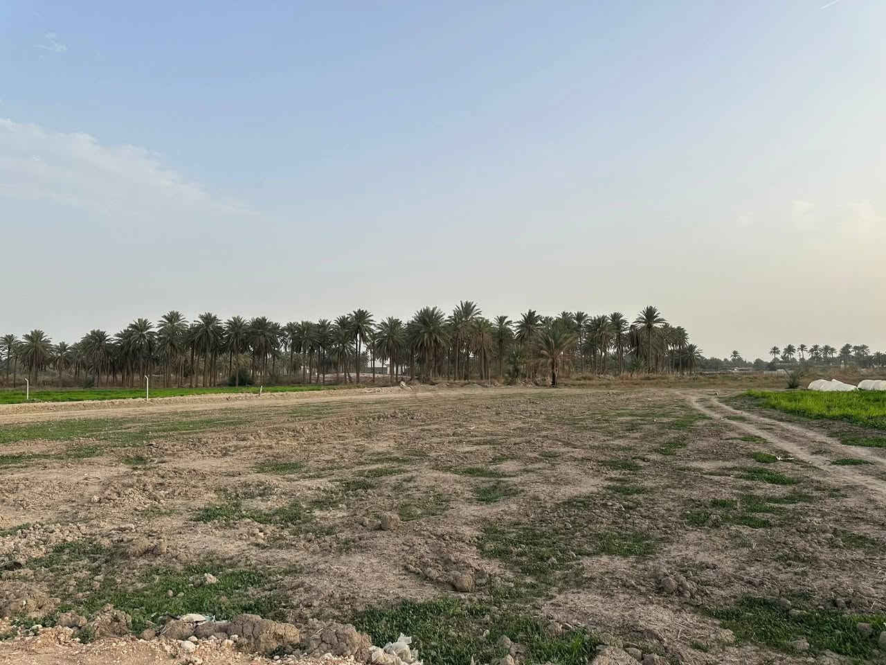 آخر 4 دوانم بلأرض وسعرهن كلهن ب 32
يعني ال 4 دوانم كلهن ب 32 مليون فرصه
ذهبيه جنس الارض طابو زراعي سند 25
حق التصرف والارض على شارع 10 متر
وواجهية الدونم الواحد 45×55 يعني مربع
العنوان تاجي سبع البور منطقة الشيخ عامر 
بلعيساويه تبعد عن سوك الشيح عامر 12
دقيقه وعن مدينة سبع البور 15 دقيقه 
للاستفسار واتساب ‏‪***********,‬‏
