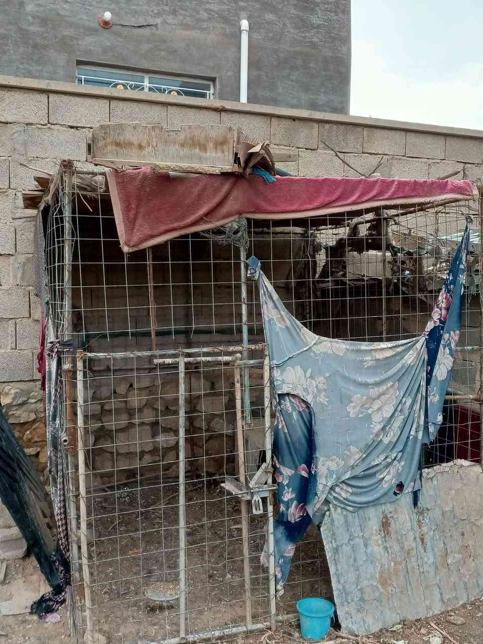 السلام عليكم...
يوجد هذا القفص كبير مال دجاج أو غنم وجديد مثل ما موجود بل صور والمقطع  ولحيمه جديد وقوي
سعره =80. الف وبيه مجال بسيط


**إذا كنت صاحب هذا الإعلان وتريد حذفه لأي سبب، رجاءا أرسل رسالة إلى الدعم الفني**