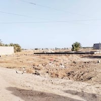 الرمادي • ٢٥٠م • طابو زراعي