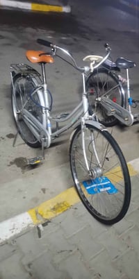 بيسكل • مراوس