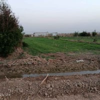 الكوت قرب الحولي • دونم واحد • سند ٢٥