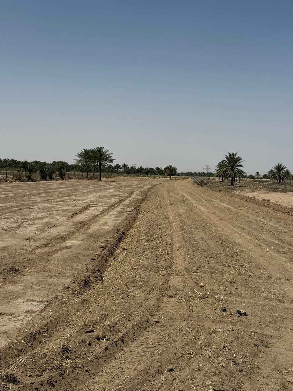 فتح حجز مزارع جديدة – فرصة لا تعوّض
بعد النجاح الكبير وبيع جميع المزارع السابقةخلال ٧ يوم فقط ✅نعلن الآن عن فتح مرحلة جديدة من المزارع

📍 المساحة: 600 متر لكل مزرعة🌿 موقع مميز وقريب من الخدمات💧 مناسبة للاستثمار أو الاستجمام🏡 ملك صافي + قابلية تطوير مستقبلية
المكان قبل بوابه حله نجف تبعد عن جامعه بابل ٥٠٠ متر فقط طابو زراعي سند ٢٥ 
تبليط وكهرباء وماء 

⚠️ العدد محدود جدًاوأغلب المراحل السابقة تم حجزها بسرعة

💰 أسعار مناسبة مع إمكانية الدفع المرن

📞 للحجز والاستفسار راسلنا خاص أو اتصل الآنلا تضيع الفرصة — المرحلة السابقة انتهت بسرعة!
***********
#استثمار #عقار #فرصة #بيع
