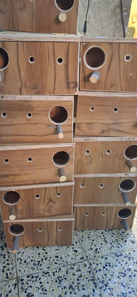 🔥 إذا عندك طيور وتريد ترتبها صح 🔥
🏠 متوفر عدنا بيوت طيور  بجودة عالية:
•  لطيور الحب 🦜
•  للكوكتيل 🦜
•  للغندور 🦜
•  وحسب ااطلب اي طير واي شڪل 
✔️ سهل تنظيفه
• الخشب اي خشب اشتغل 
💸 أسعار مناسبة 

📍 التوصيل متوفر
📩 راسلنا خاص واحجز بيتك هسه
*********** بـ واتساب 
⚠️ الكمية محدودة… لا تتأخر!

#بيوت_طيور #اقفاص #تربية_الطيور #كوكتيل #طيور_حب
