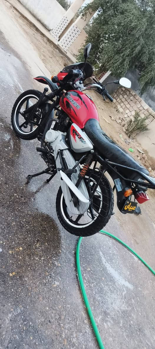 سلام عليكم دراجة بوكسر البيع اصوليه اوراق كامله كفاله موديل 22 دراجه نضيفه كلش سعره (1600)وبيه مجال
***********وين الجناييه
