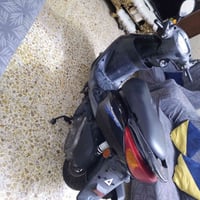 ببغاء • نضيفه • ١٤٠