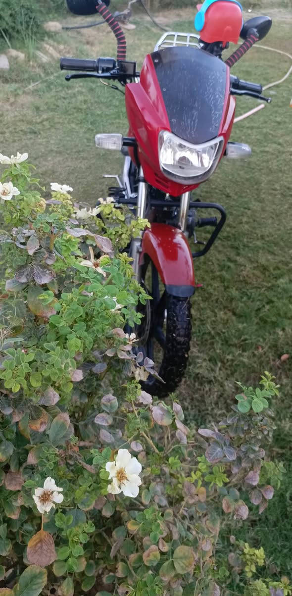 السلام عليكم 
دراجه سايم موديل 20 مگمرگه كامل+ اوراقها كامله +وصل الگمرگ موجود باقي  ع تسجيلها 
نضافتها مثل ما موضح واكثر  
محركها  مفتوح مره وحده 
كهربائيّات كلها شغاله سكن بگ لايت اشاير يمين يسار انارة جاملغات  بطاريه جديده+ نگره سلف+ مزوده منضومة زينون ڤان عالي ناصي 
ب استثناء دشبولها طافي اما الباقي كفاله عامه 
الجمجمه مبدله بجمجة 2017 جديده 
مكاني الگرمه 
متواجد فيس 
***********
