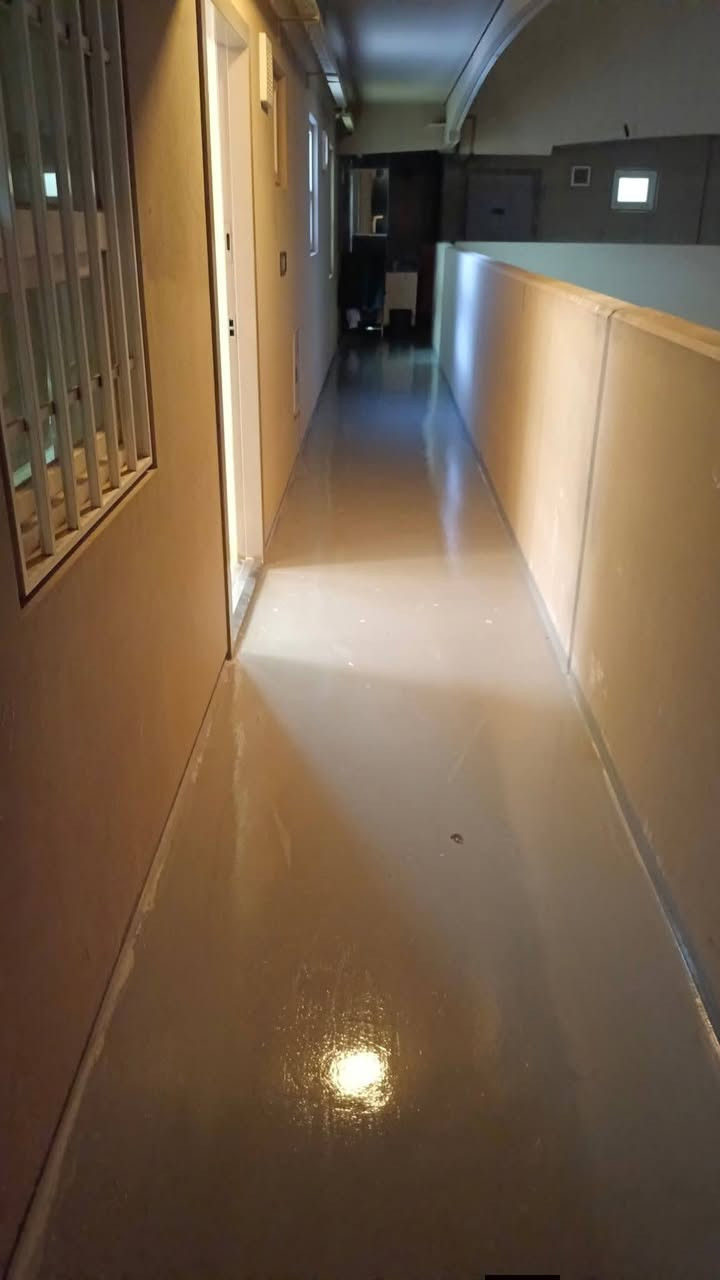 تم و بفضل لله.. تم تنضيف وتعطير شقه الاخ الراقي ( سيد عباس المحترم ) #بلوكA9 عماره 903 شقه 708 مساحه 100 متر .. مدة العمل 8 ساعات  امنياتنا و دعواتنا للاخ سيد عباس ان يجد الخير و السعاده في سكنه الجديد .. تحياتي لكم الاستفسار مراسله الصفحه او اتصل على الارقم📞 ***********
