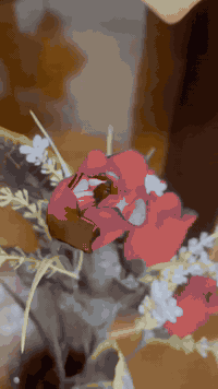 غرفه نوم عراقيه حطاطه صاج اربعينه قطعتين السعر 875بي مجال العنوان الرمانه البعبيد  هيه ودوشكها الاتصال ***********
