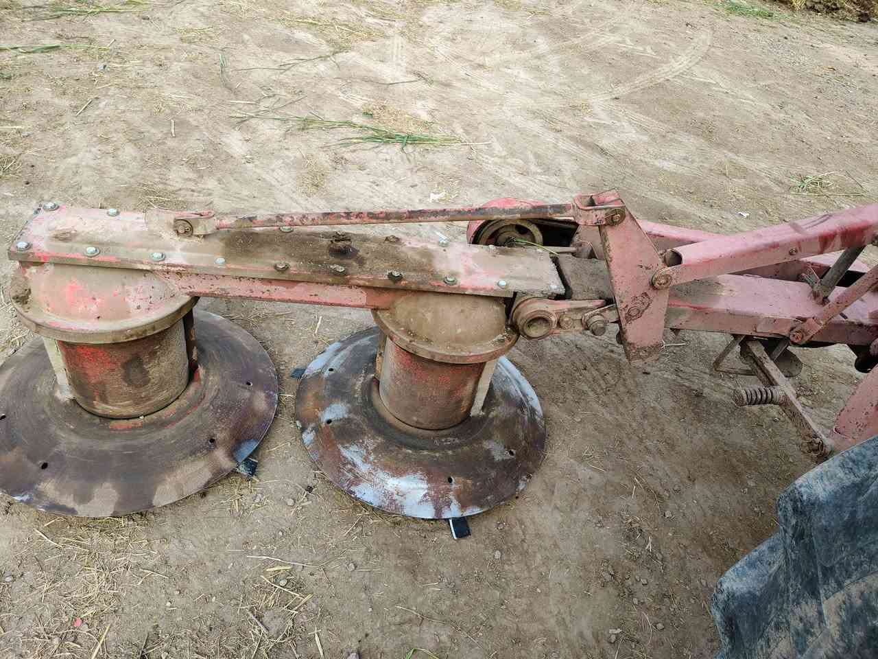 حاشوشه للبيع ***********9
