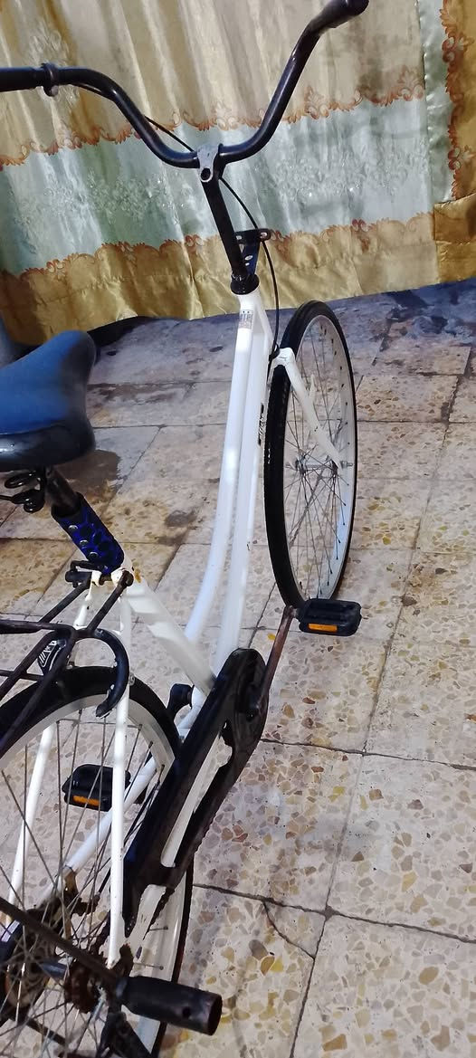 سلام عليكم شلونكم شباب باسكل للبيع حاويه نضيف ياباني مكان نجف حي الجمعيه قرب كراج بغداد مقابل حسن رحم ابل كباب سعره 100وبي مجال


**إذا كنت صاحب هذا الإعلان وتريد حذفه لأي سبب، رجاءا أرسل رسالة إلى الدعم الفني**