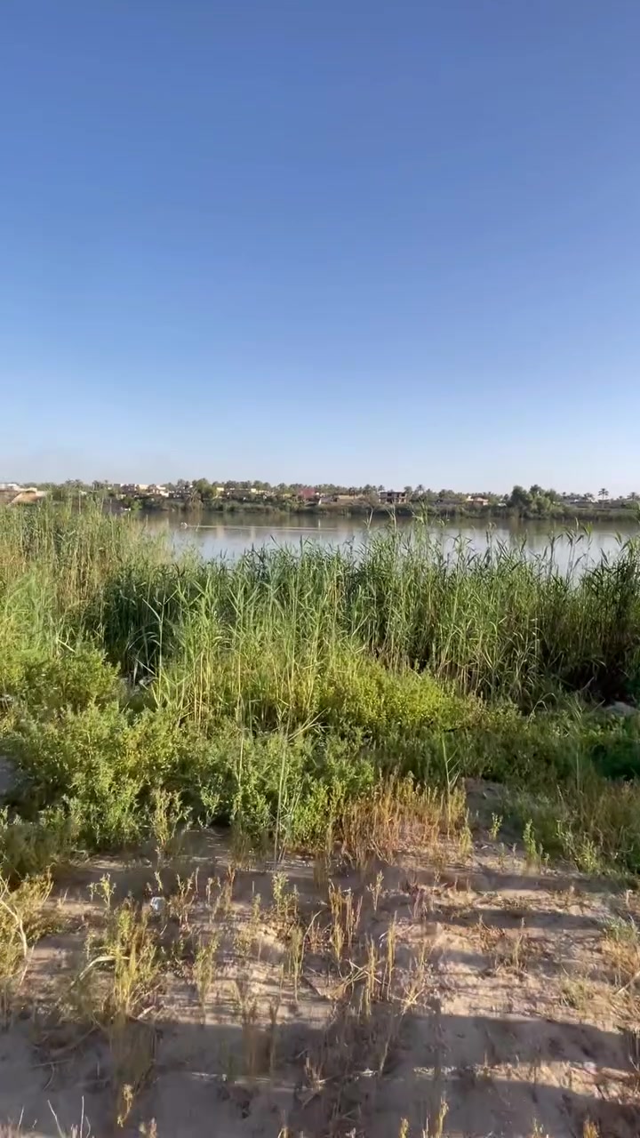السلام عليكم للبيع ٩دوانم طابو ملك صرف تقع على نهر دجله 
الموقع الحصيوه البستان مثمر بالحمضيات والنخل والفواكه مشمش الو تفاح للاستفسار الاتصال على الرقم 
***********
***********
مكتب النخيل للعقار الموقع الشيخ حمد مقابيل مزرعة العصفوره
