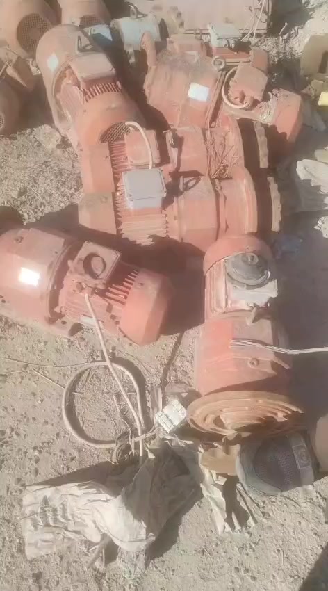 للبيع العدد(١١)شغالات /من ٧/ونص حصان إلى ١٠/السعر القطعه ٤٠٠/الف/للاستفسار ***********/واتساب
