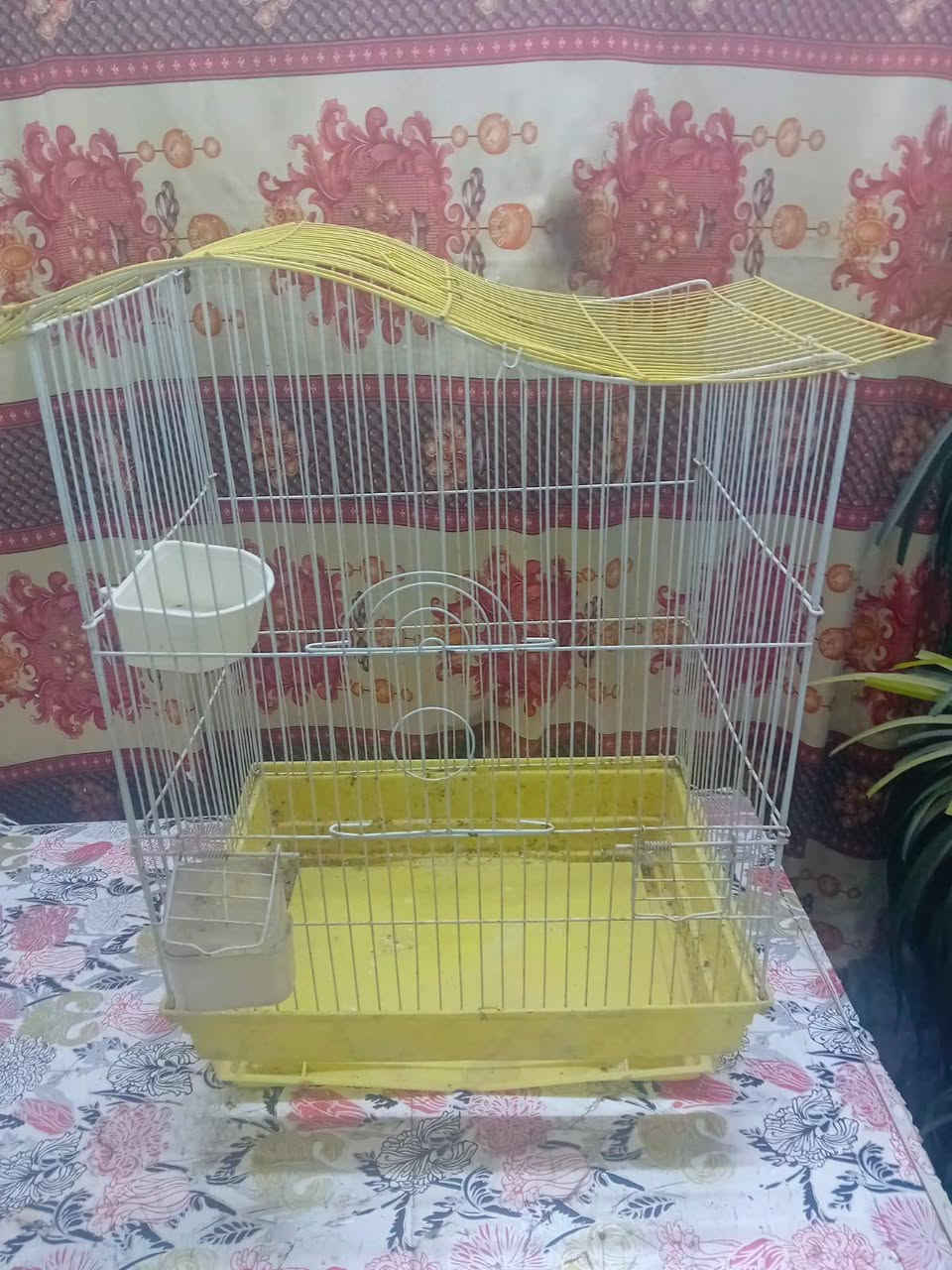 السلام عليكم
قفص ارتفاع 170
عرض 160 القفص نضيف بشكل ويا الابيوت عدد 4 
وياه قفص اصغير كلهن شلع 30قفل مكاني مجمع الدور
***********
