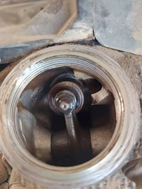 فراشه • ١٢٥ • نضيف