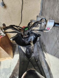 زنبور • ياباني • مكينه ناعمه