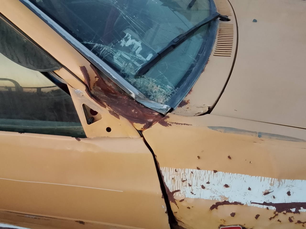 من رخصه أبو الگروب المحترم ((سلام عليكم ورحمه الله شباب سايبا للبيع مكينه خير من الله وكير  وحداديه نص عمر داخل حلو بس حادث بصيط بتكمه   راعيه موجود بل بصره انته روح سوي تحويل سنويه صاقطه من 2020 السعر مليون و400 وبيه مجال رقمي *********** وسلام عليكم
