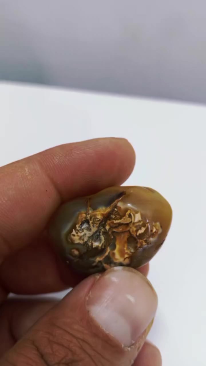 داودي مصور قيم واخذ حجره حلوه وقديمه ***********
